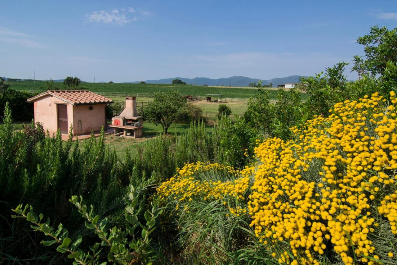 Agriturismo Il Melograno Di Banditella Alberese Εξωτερικό φωτογραφία